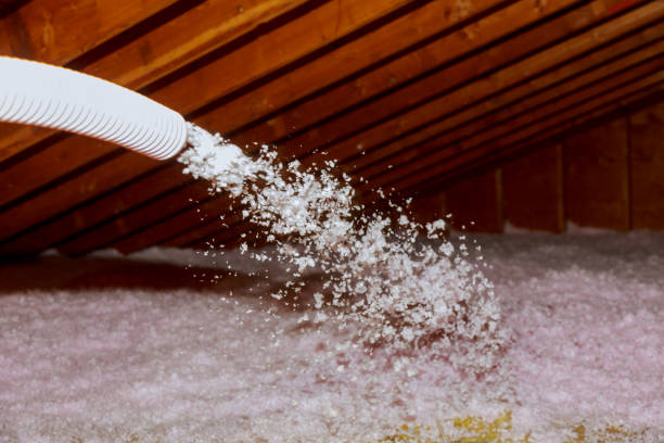 Best Types of Insulation in Huntington Beach, CA