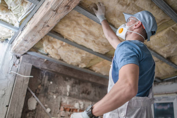 Best Insulation Installation Services in Huntington Beach, CA